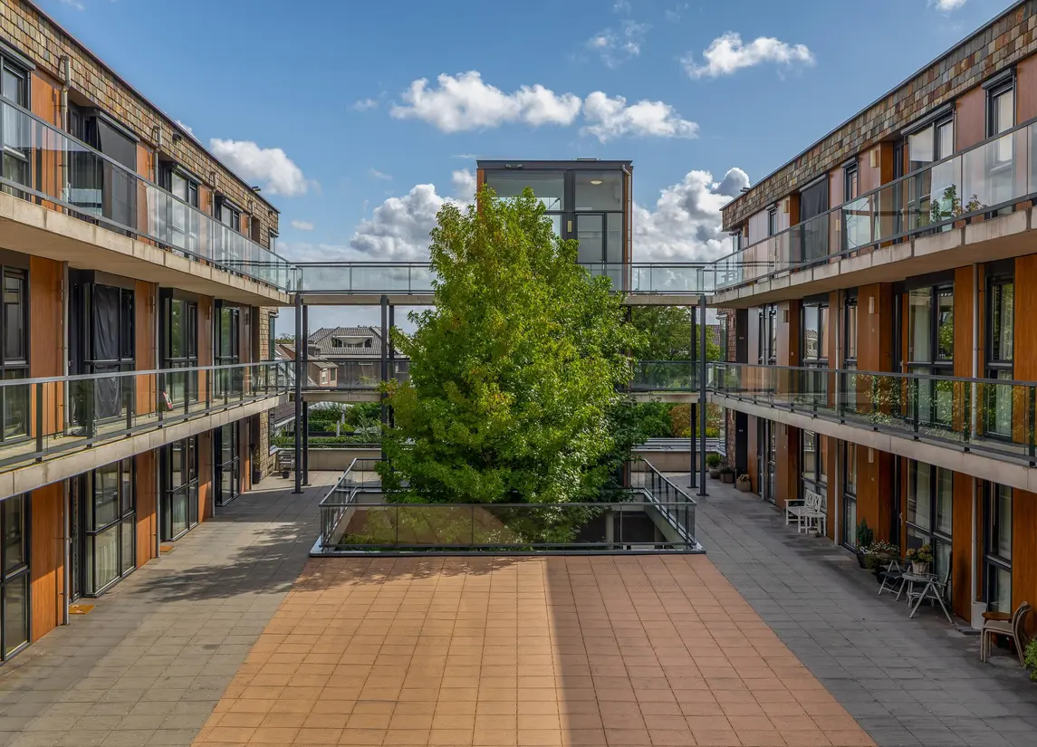 Dennenpad 34