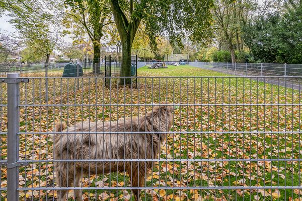 Dr Schaepmanstraat 55, WATERINGEN
