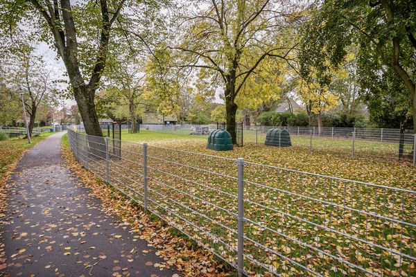 Dr Schaepmanstraat 55, WATERINGEN