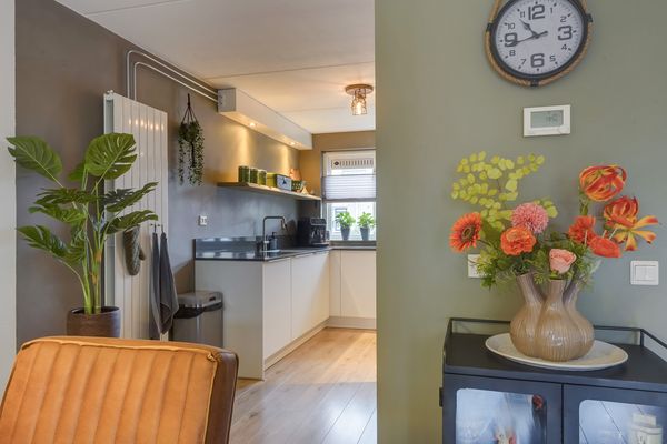 Lisdodde 13, MAASLAND