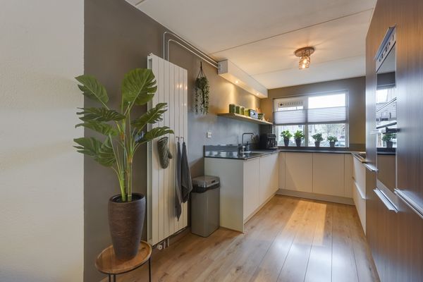 Lisdodde 13, MAASLAND