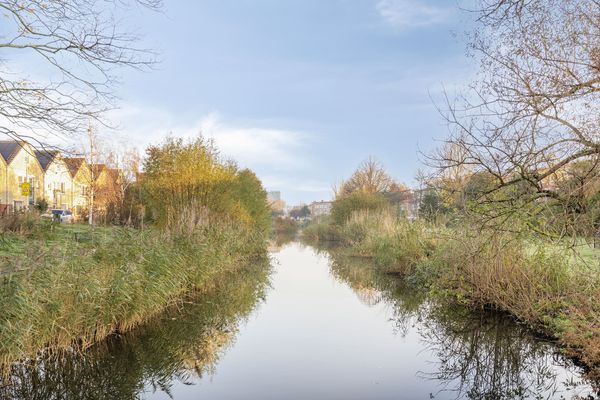 Antheunisstraat 41, 'S-GRAVENHAGE