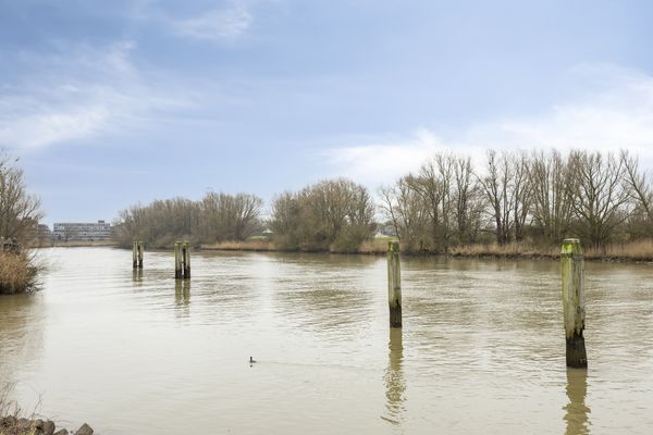 Generaal S.H. Spoorstraat 289, DORDRECHT