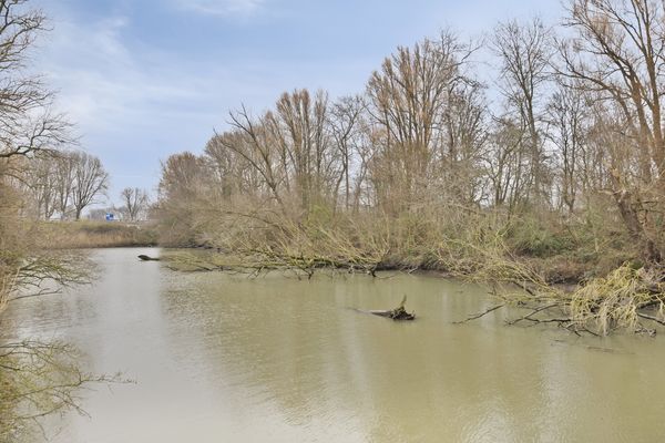 Generaal S.H. Spoorstraat 289, DORDRECHT