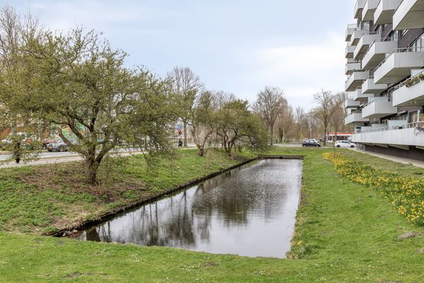 Wolweversgaarde 393, 'S-GRAVENHAGE