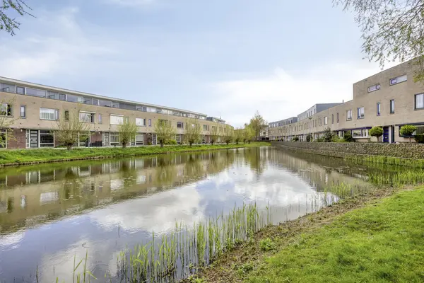 Riviergrondel 4