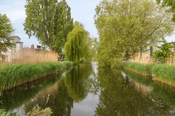 Menadostraat 43, VLAARDINGEN