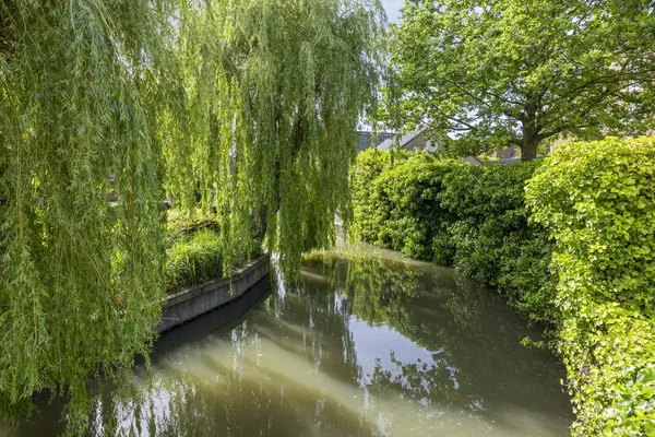 Endeldijk 36, HONSELERSDIJK
