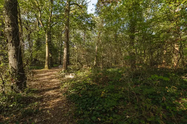 Seterseweg 4H9, Oosterhout
