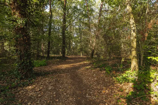 Seterseweg 4H9, Oosterhout