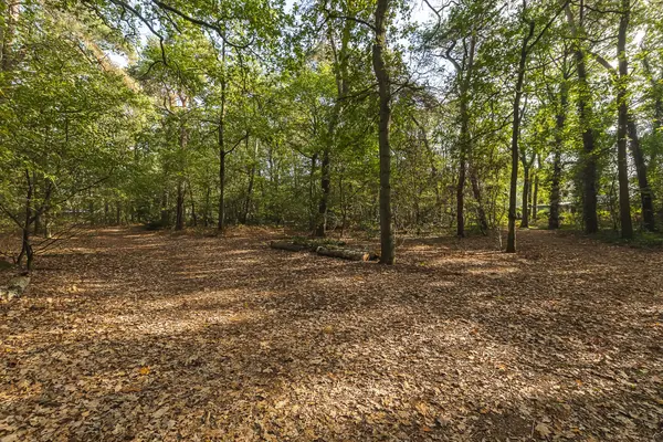 Seterseweg 4H9, Oosterhout