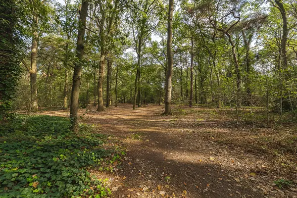 Seterseweg 4H9, Oosterhout
