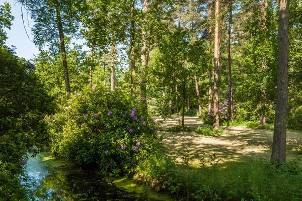 Acaciadreef 9, Schoten