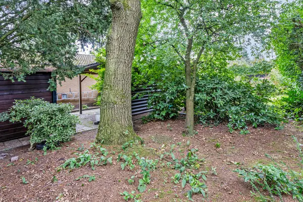 Schaluinen 11 339, Baarle-Nassau