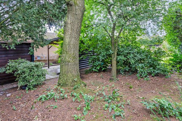 Schaluinen 11 339, Baarle-Nassau