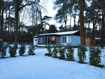 Foto 2 van Kievit 12 230