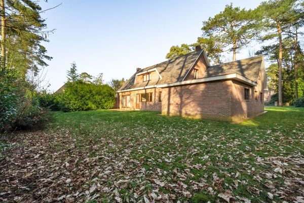 Boskant 39, Kasterlee