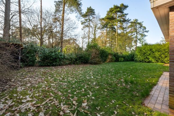 Boskant 39, Kasterlee