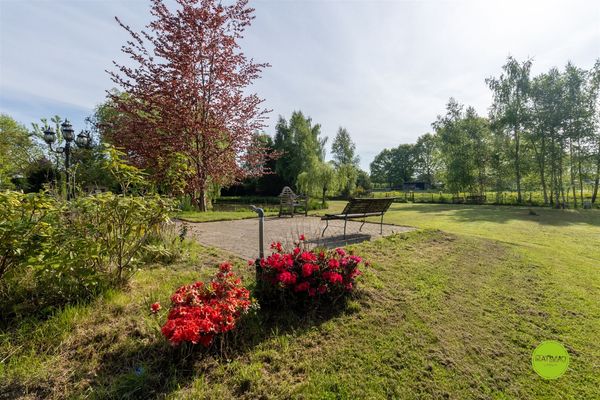 Populierenstraat 56, Pelt