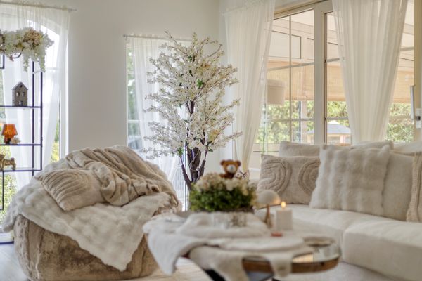 Kievit 12 478, Baarle-Nassau