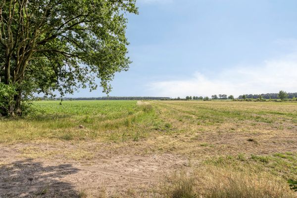 Kievit 12 478, Baarle-Nassau