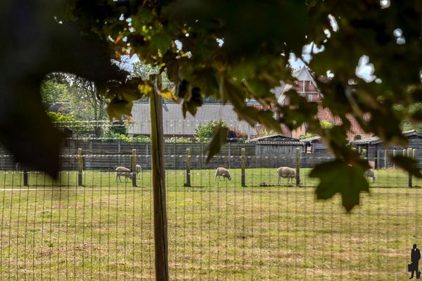 Koning Albertstraat 181