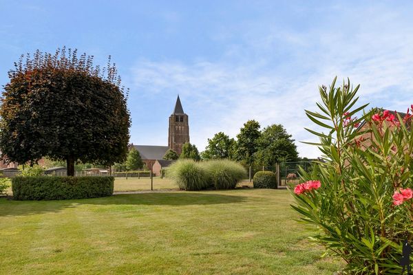 Koning Albertstraat 181, Ravels