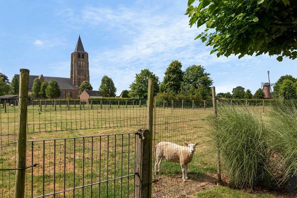 Koning Albertstraat 181, Ravels