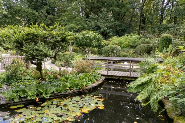 Lijsterdreef 15, Oud-Turnhout