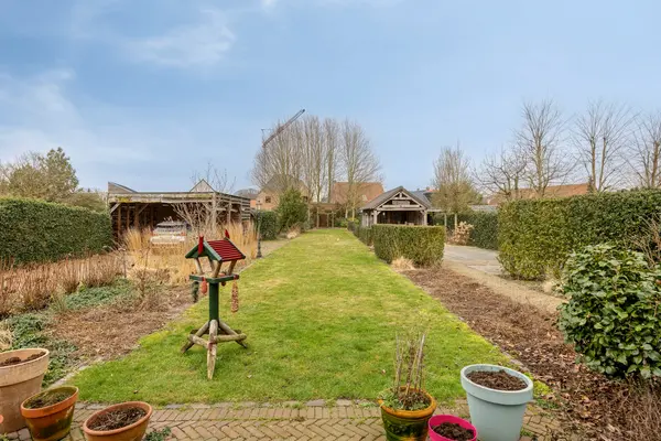 Paardenwiel 6, Ravels