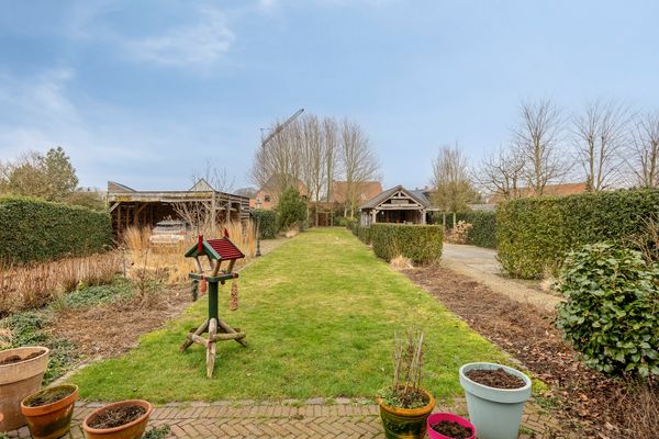 Paardenwiel 6, Ravels