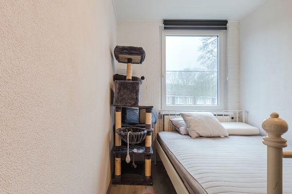 Sibeliusstraat 225, Tilburg