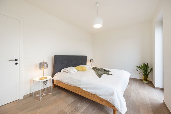 Molenstraat 65 67, Ravels