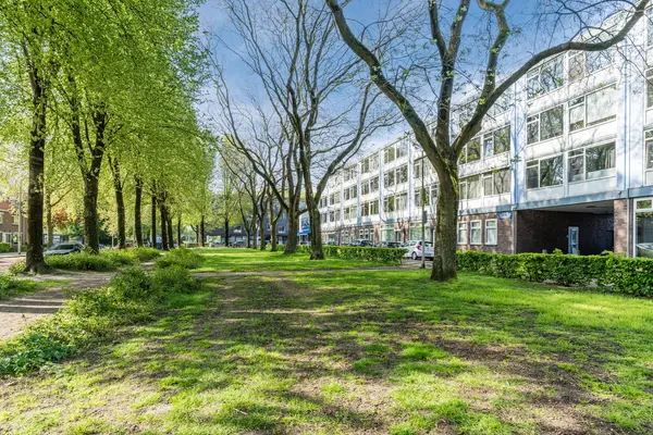 Trouwlaan 289, Tilburg