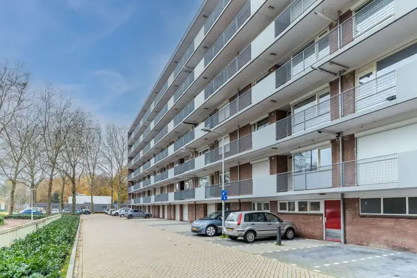 Cederstraat 39