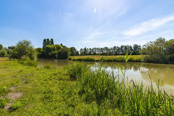 Raakeindse Kerkweg 71B67, Molenschot