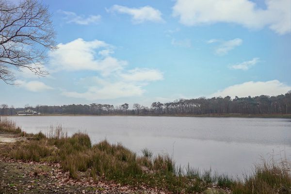 De Peel 13J108, Heel