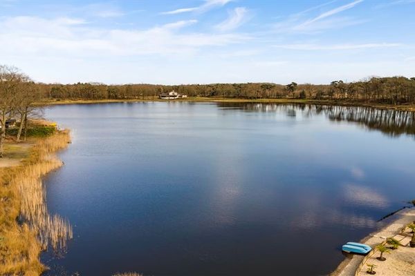 De Peel 13J108, Heel