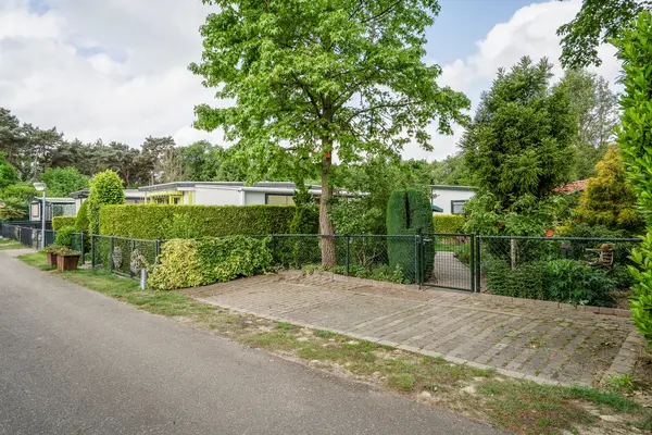 De Peel 13J91, Heel