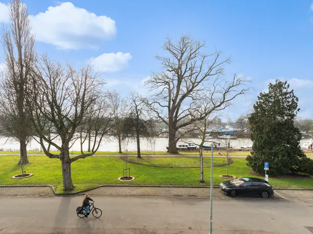 Rijnstraat 38, Dordrecht