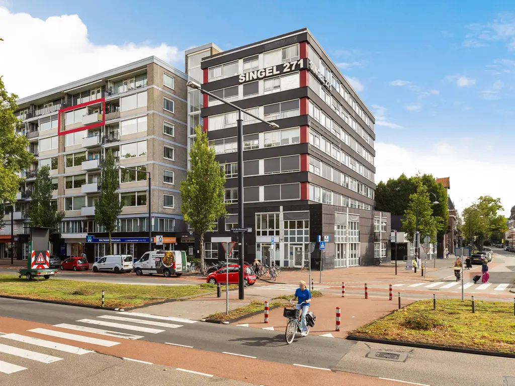 Johan de Wittstraat 266, Dordrecht