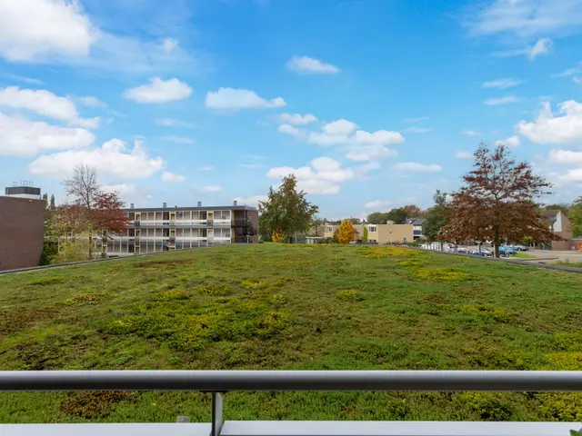 P.S. Gerbrandystraat 14, Papendrecht