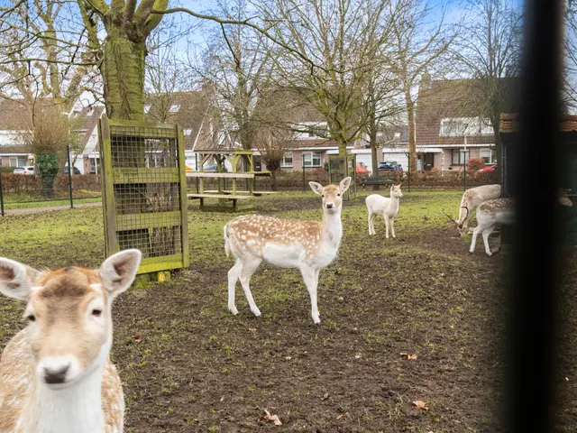 Gebroeders Potstraat 22, Nieuw-Lekkerland