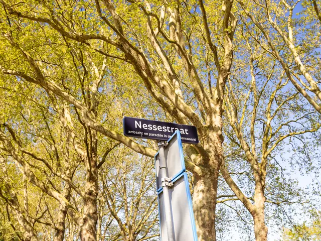 Nessestraat 6, Dordrecht