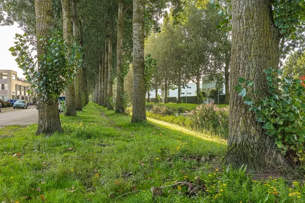 Randwijkstraat 25, TILBURG