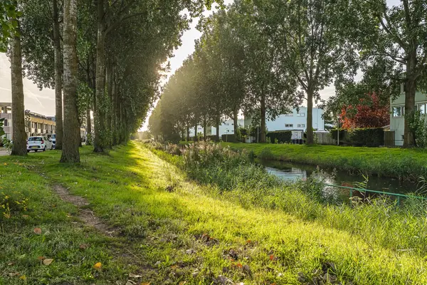 Randwijkstraat 25, TILBURG