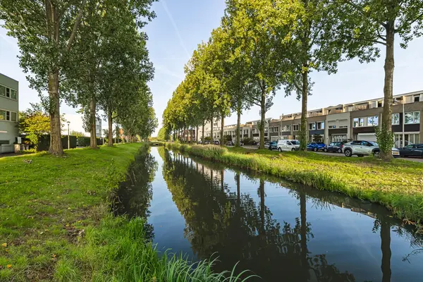 Randwijkstraat 25