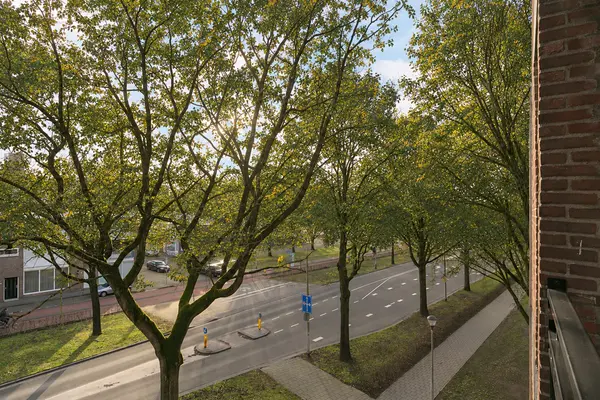 Tobias Asserlaan 272, TILBURG
