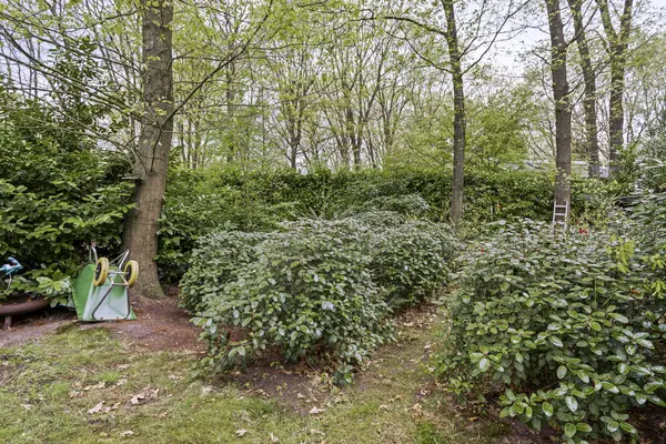 De Stille Wille 26, OOST WEST EN MIDDELBEERS