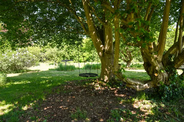 Dortherweg 39, EPSE